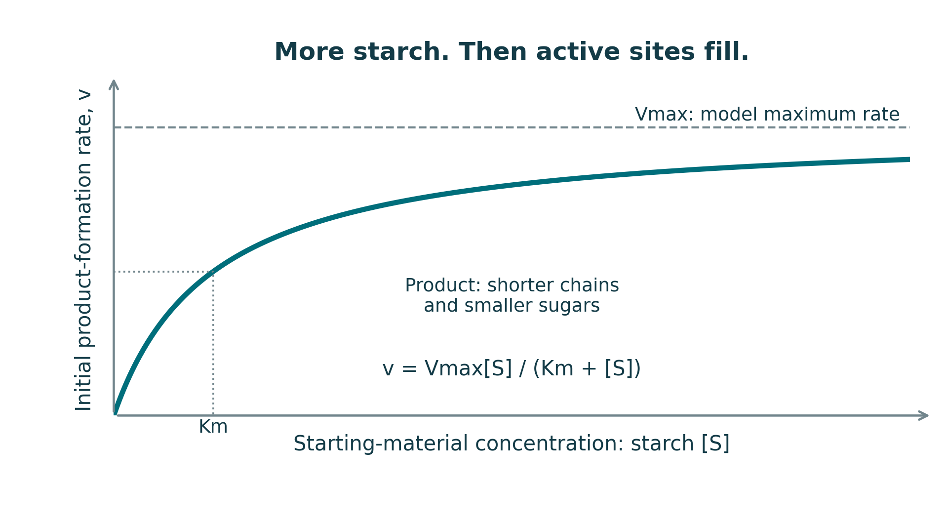 Arrowed axes show initial product formation versus starting starch concentration, with model Vmax and Km