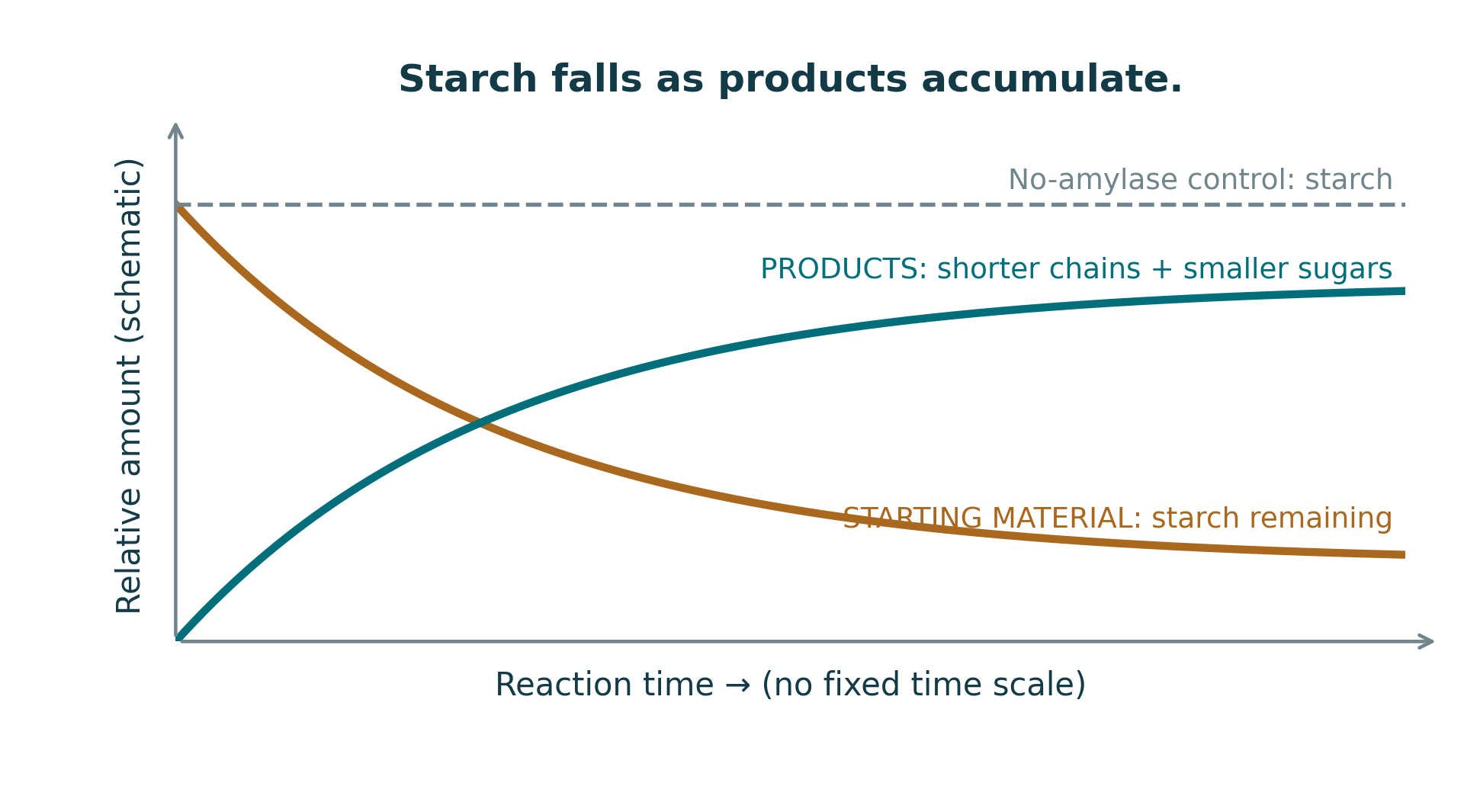 Illustrative time course: starch declines, shorter-chain products rise and no-enzyme starch control stays constant